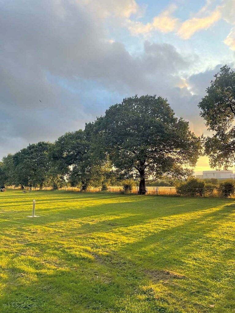Laurels Park