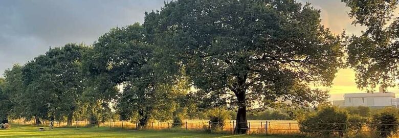 Laurels Park