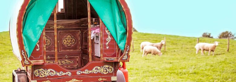 Harebeck Holidays