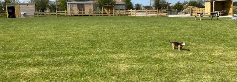 Nut Tree Farm