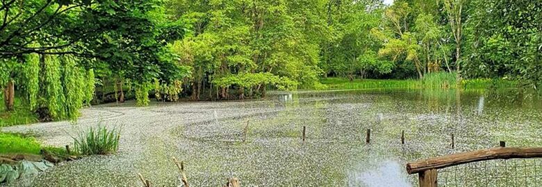 Camping La Viotterie