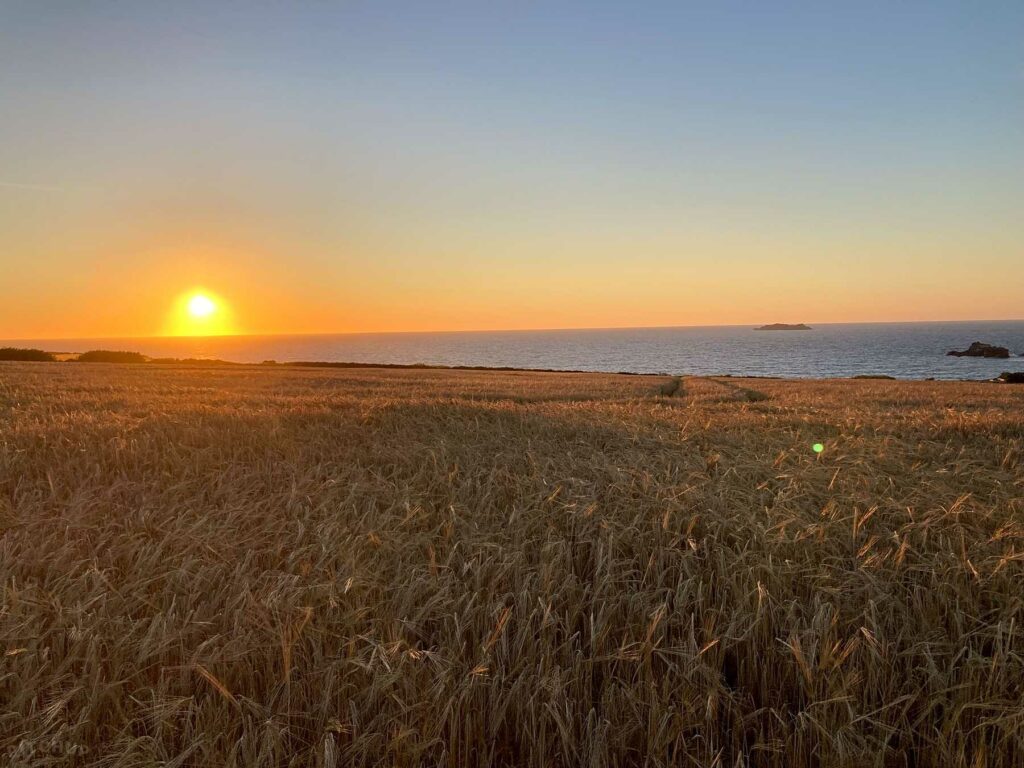 Trevose View Campsite