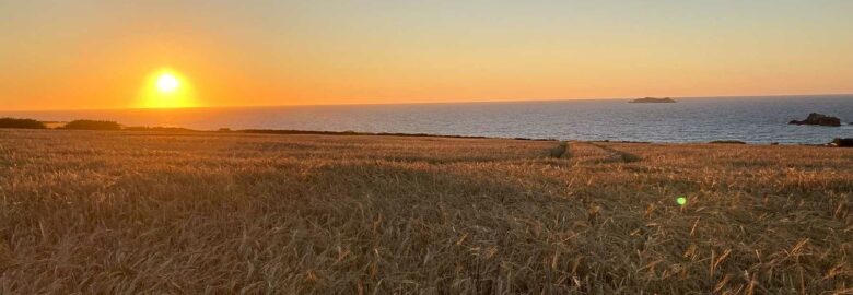 Trevose View Campsite