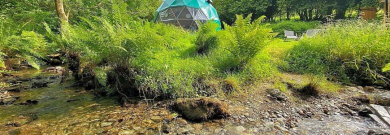 Dartmoor Domes