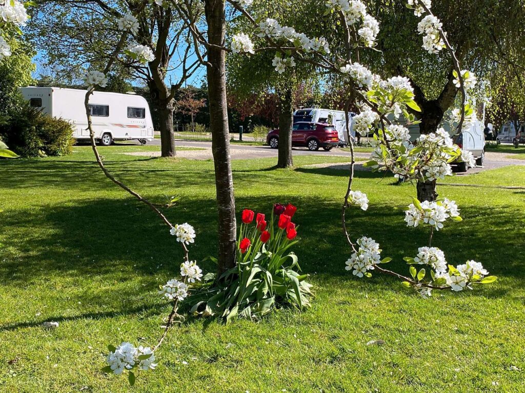 Briarfields Touring Park
