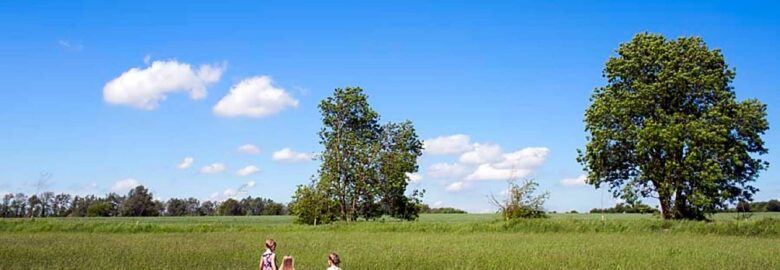The Meadow at Waples Mill