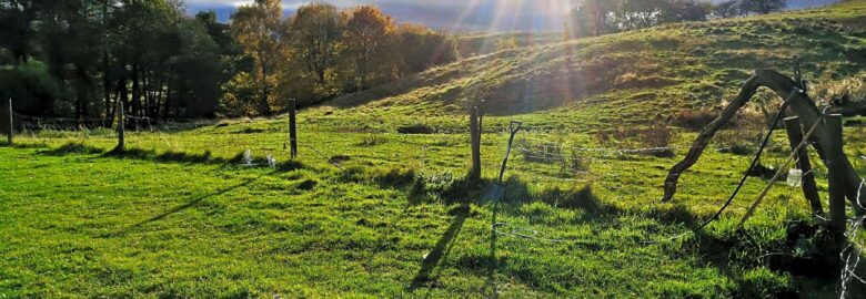 Mowbray Meadow