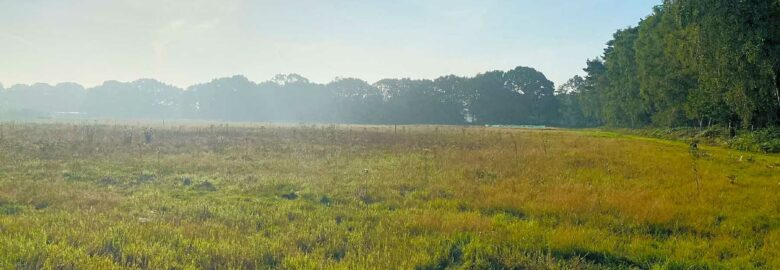 The Little Norfolk Farm