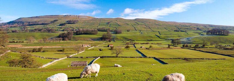 Aysgarth Falls Caravan and Camping Park