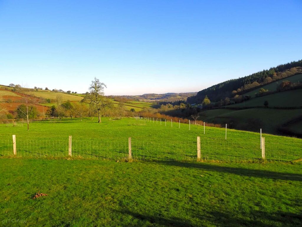 Willey Lane Farm