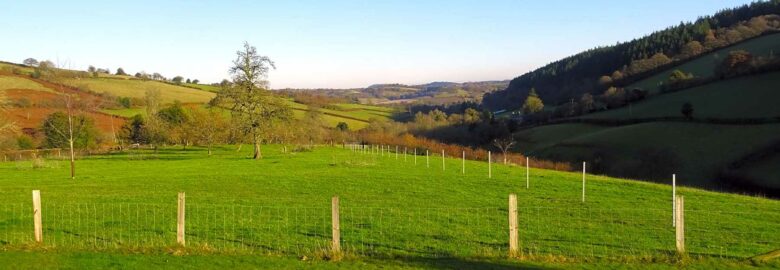 Willey Lane Farm