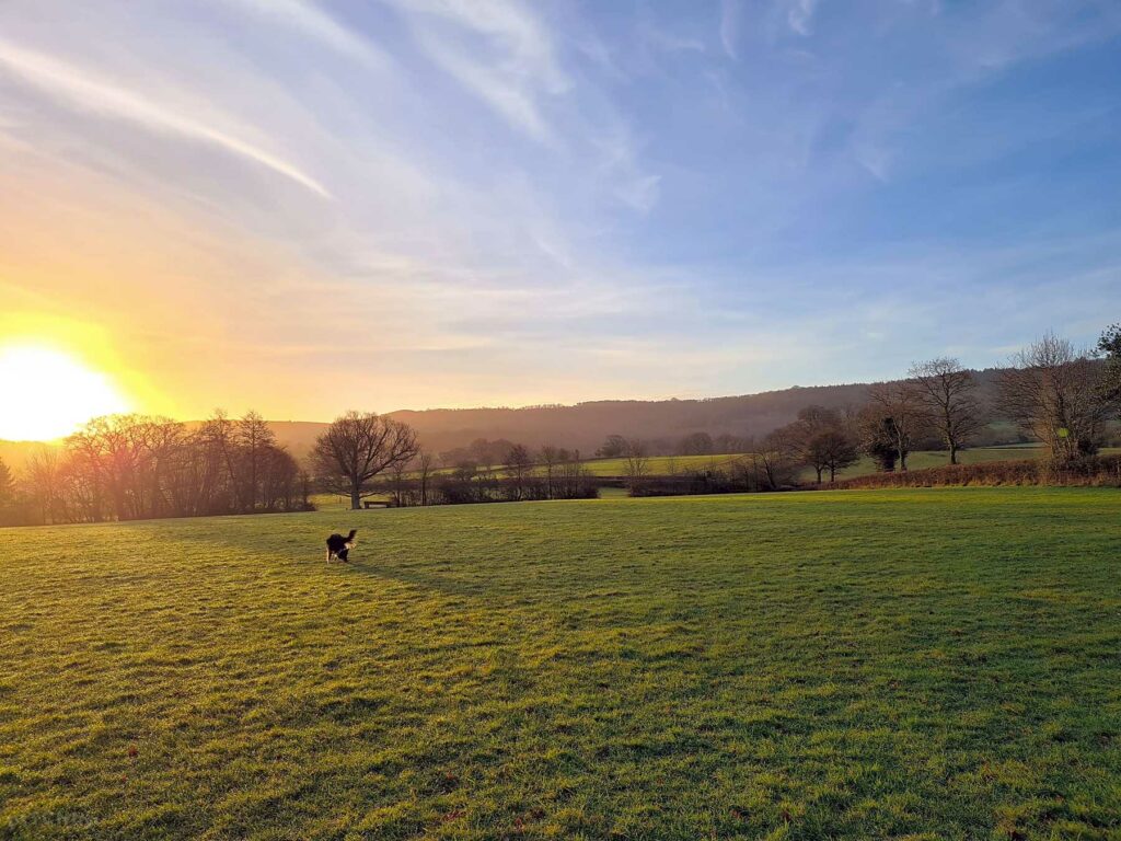 Buckland Farm Camping