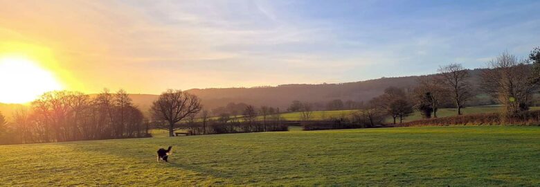 Buckland Farm Camping