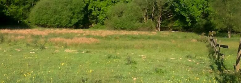 Ele’s Campsite