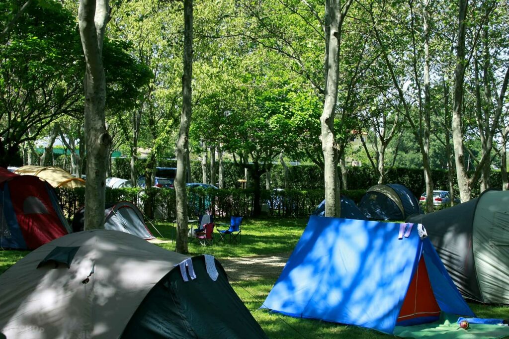 Camping El Pinajarro