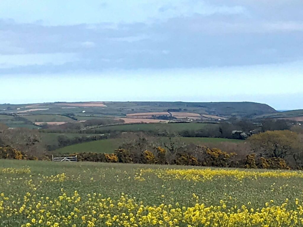 Tremanor Farm