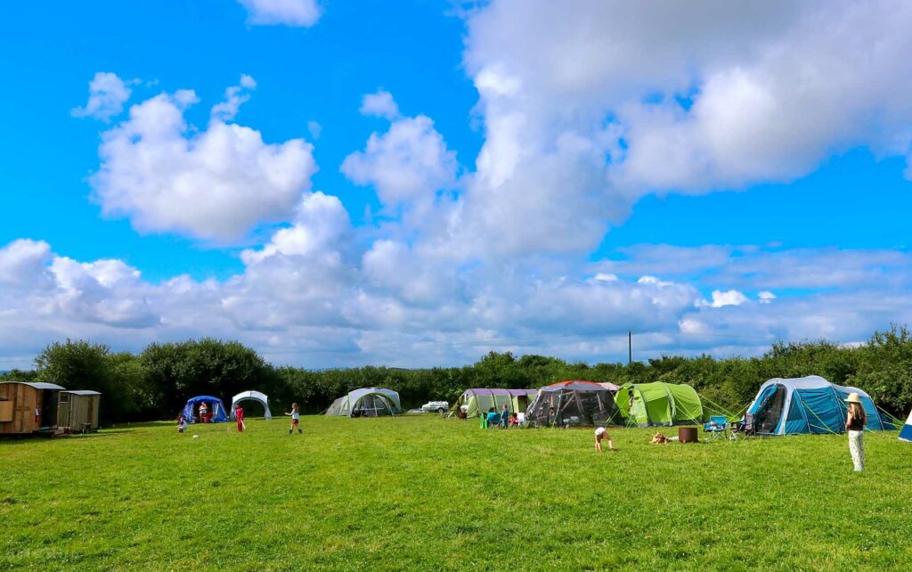 Meadowsweet Farm
