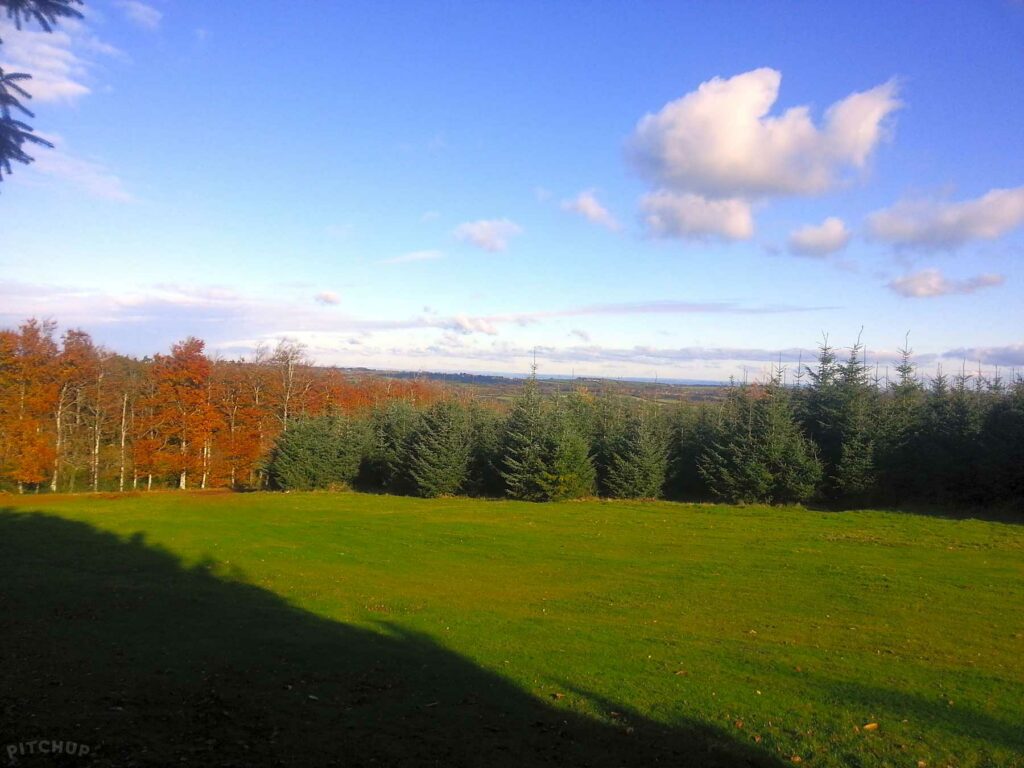 Gidleigh Wood
