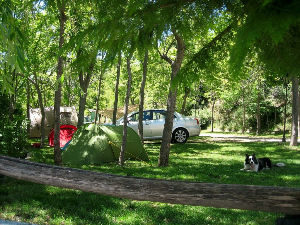 Camping Trevélez