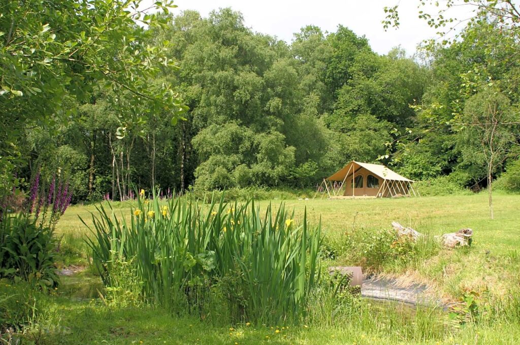 Driftaway Camping Woodlands