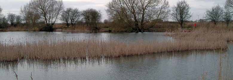 Lakeside Springs