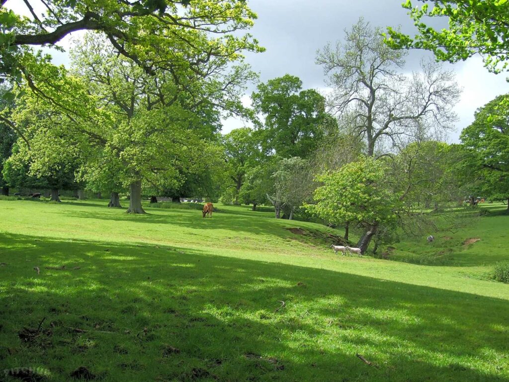 Constable Burton Hall Caravan Park