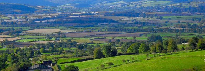 The Nipstone Campsite