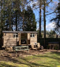 Luxury Shepherd's Hut in the Surrey Hills