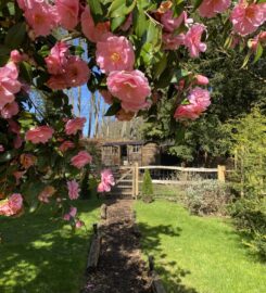 Luxury Shepherd's Hut in the Surrey Hills