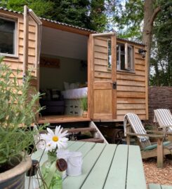 Luxury Shepherd's Hut in the Surrey Hills