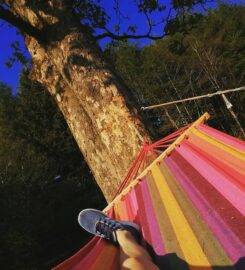 Puddlemire Campsite