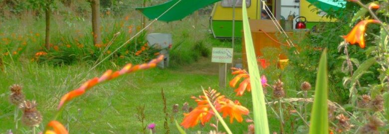 Goldfinch Glampavan at Orchid Meadows