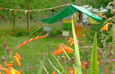 Goldfinch Glampavan at Orchid Meadows